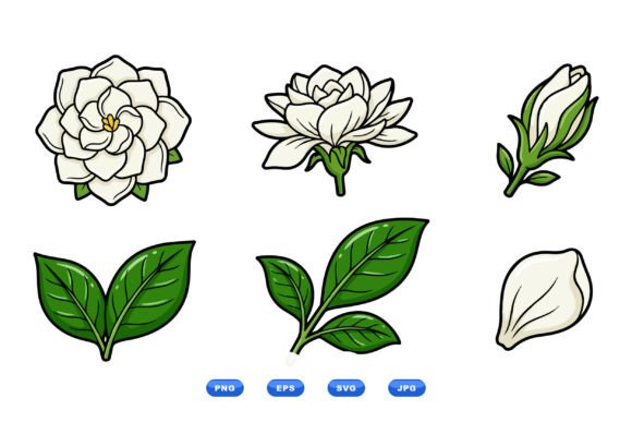 Elegant Gardenia Floral Clipart: Graphics & Illustrations for Polished Content